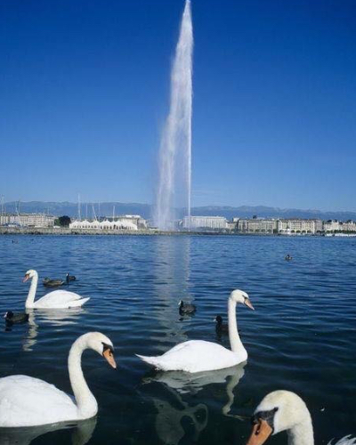 Photo de Sabine Cerutti-Chabert